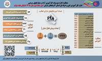 اینفوگرافی